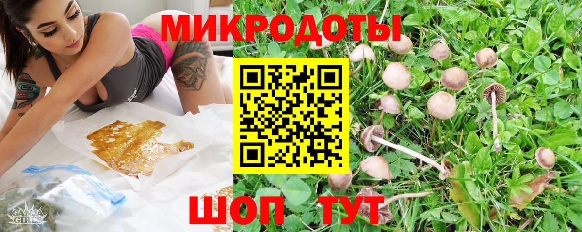Галлюциногенные грибы Psilocybine cubensis Хабаровск