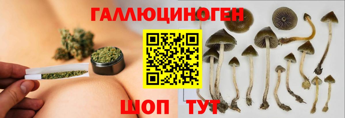 Галлюциногенные грибы ЛСД  Псилоцибиновые грибы Cubensis  Вход с VPN  цена   Хабаровск 